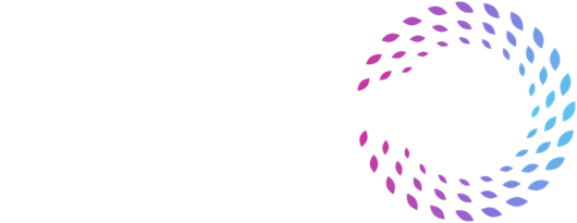 Life in Flow